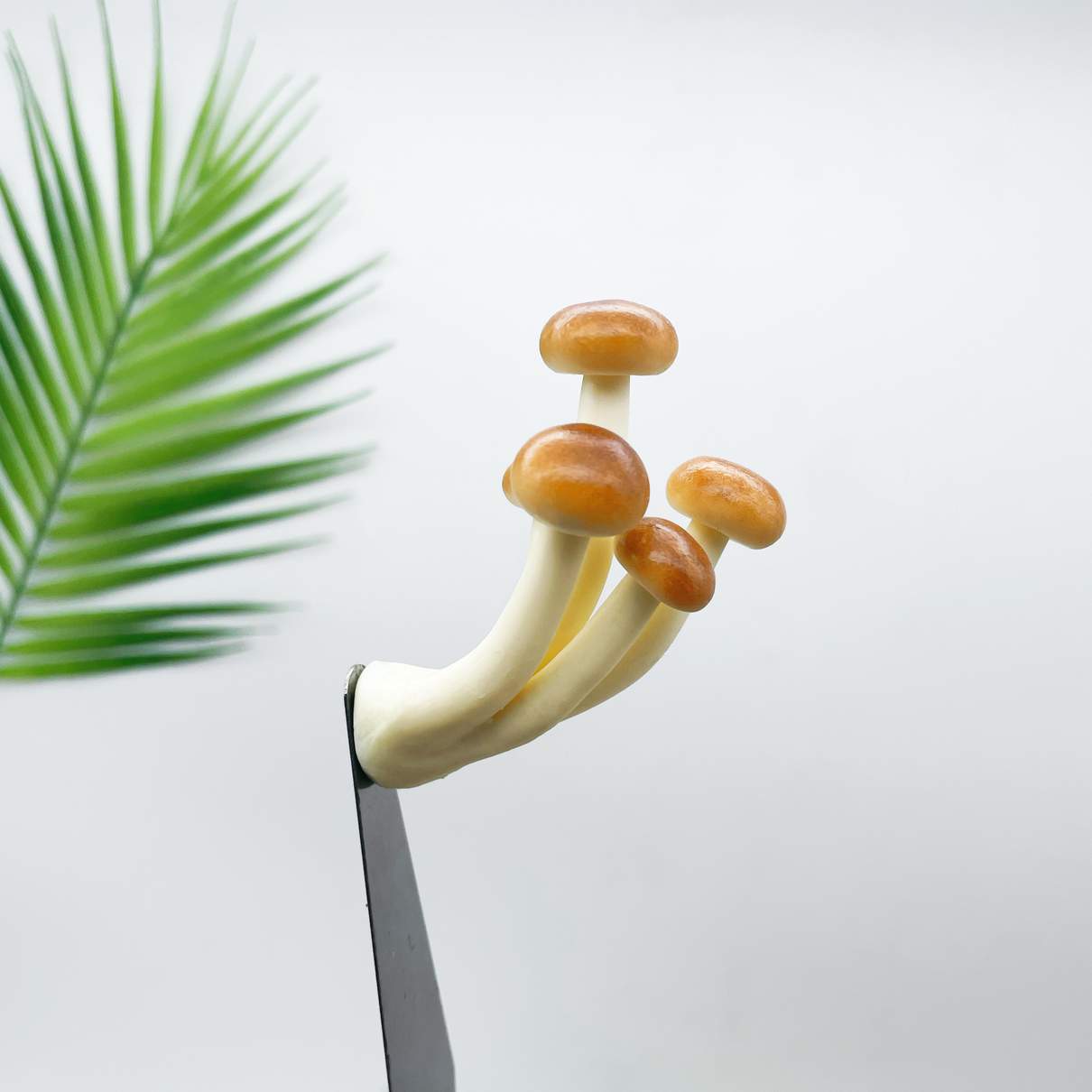 Realistic Brown Quintuple Mushroom
