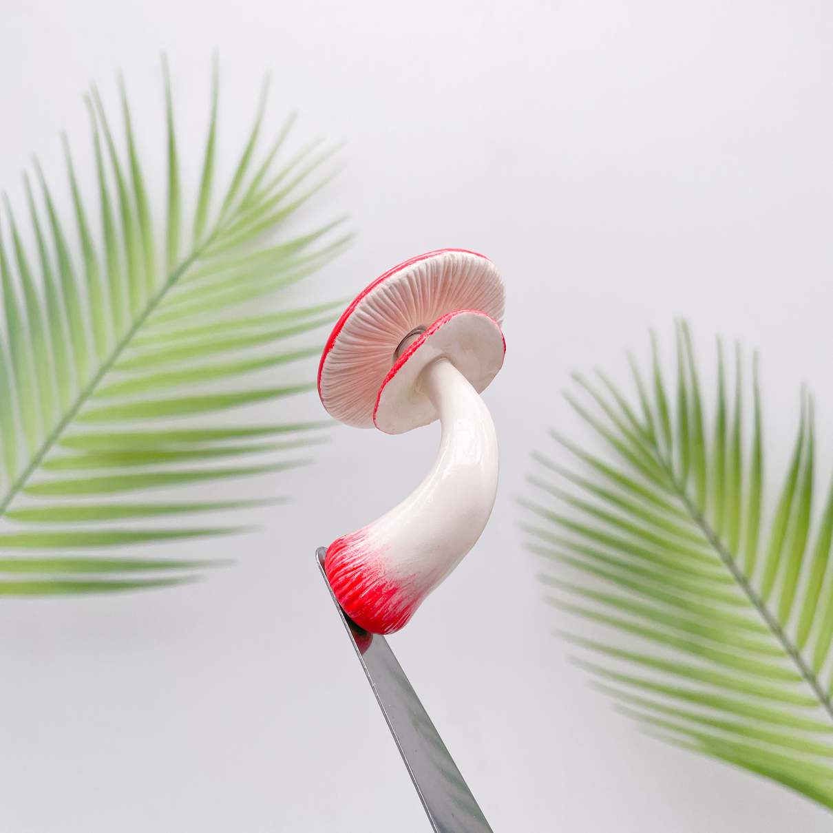 Crimson Love Mushroom