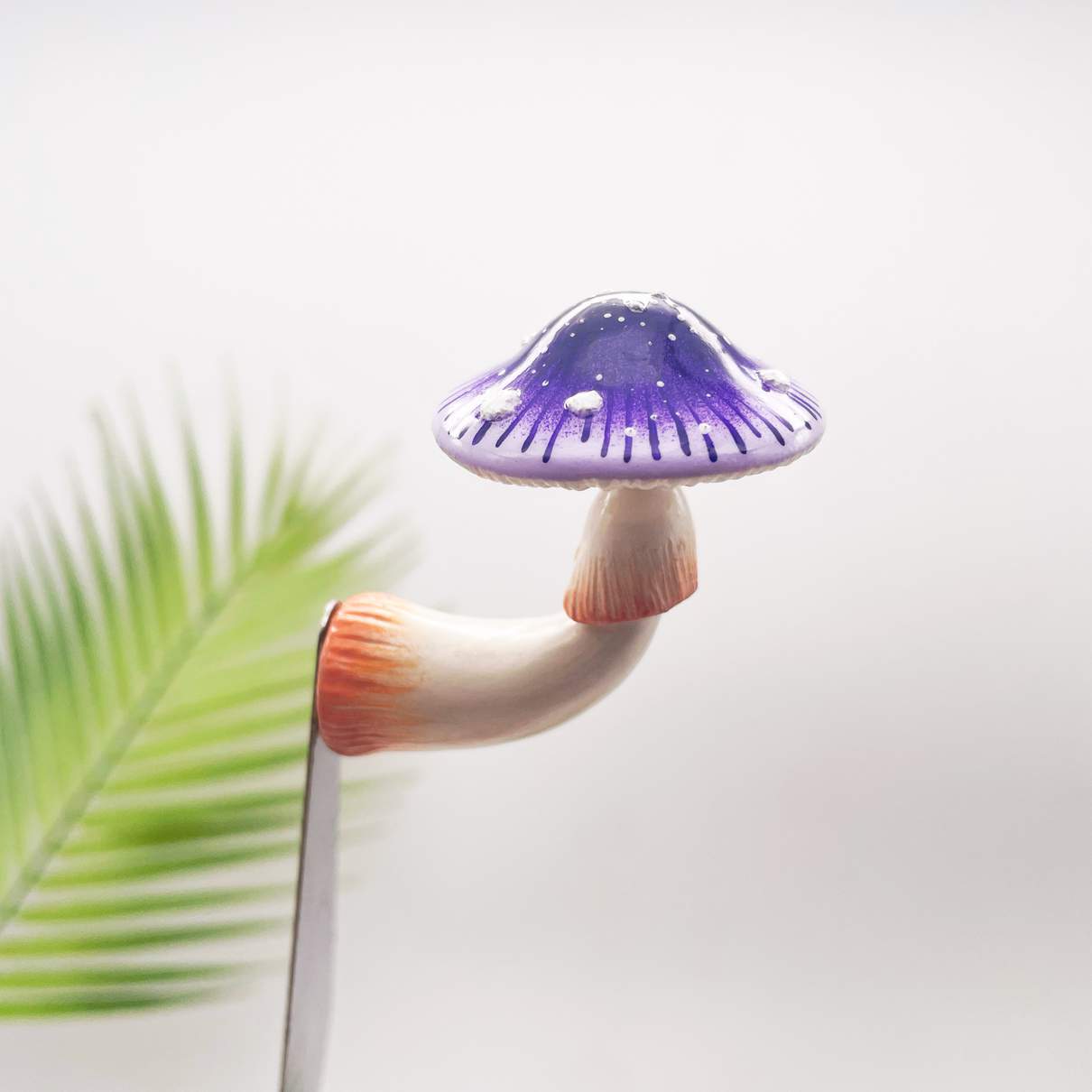 Starburst Violet Mushroom