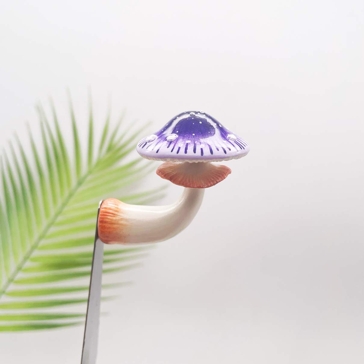Starburst Violet Mushroom