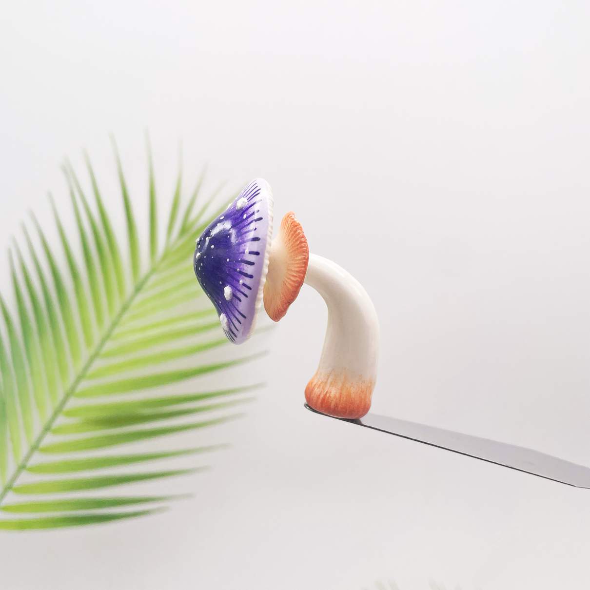 Starburst Violet Mushroom