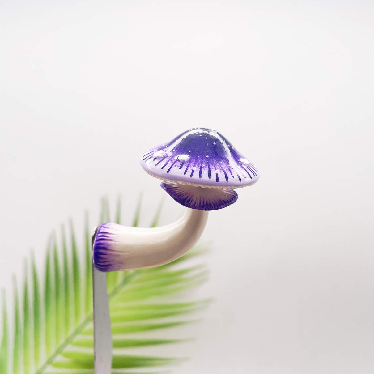 Starburst Violet Mushroom