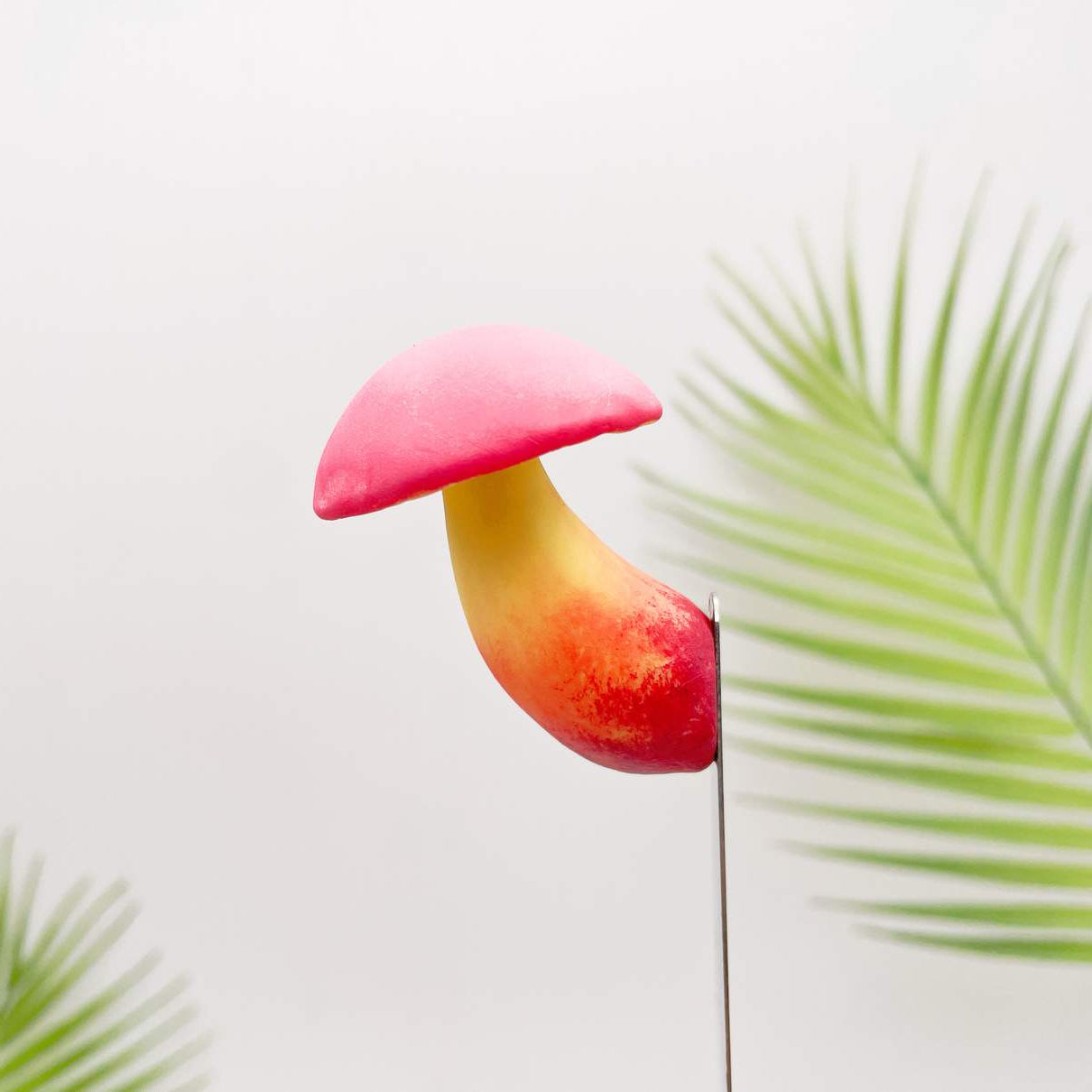 Toxic Red-Staining Bolete Mushroom