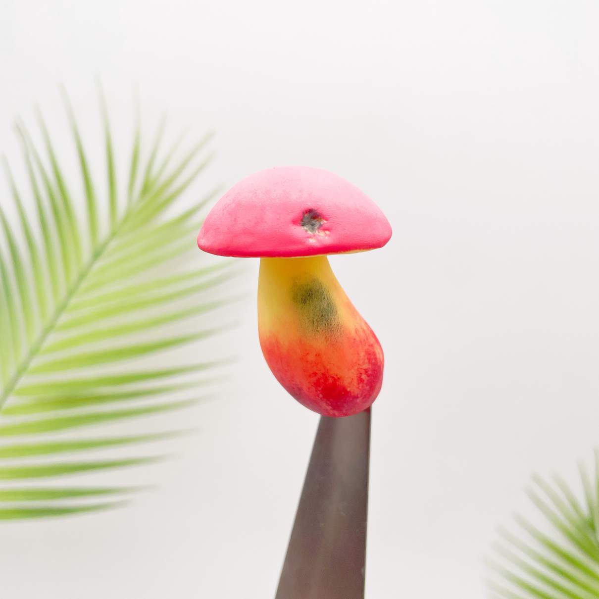 Toxic Red-Staining Bolete Mushroom