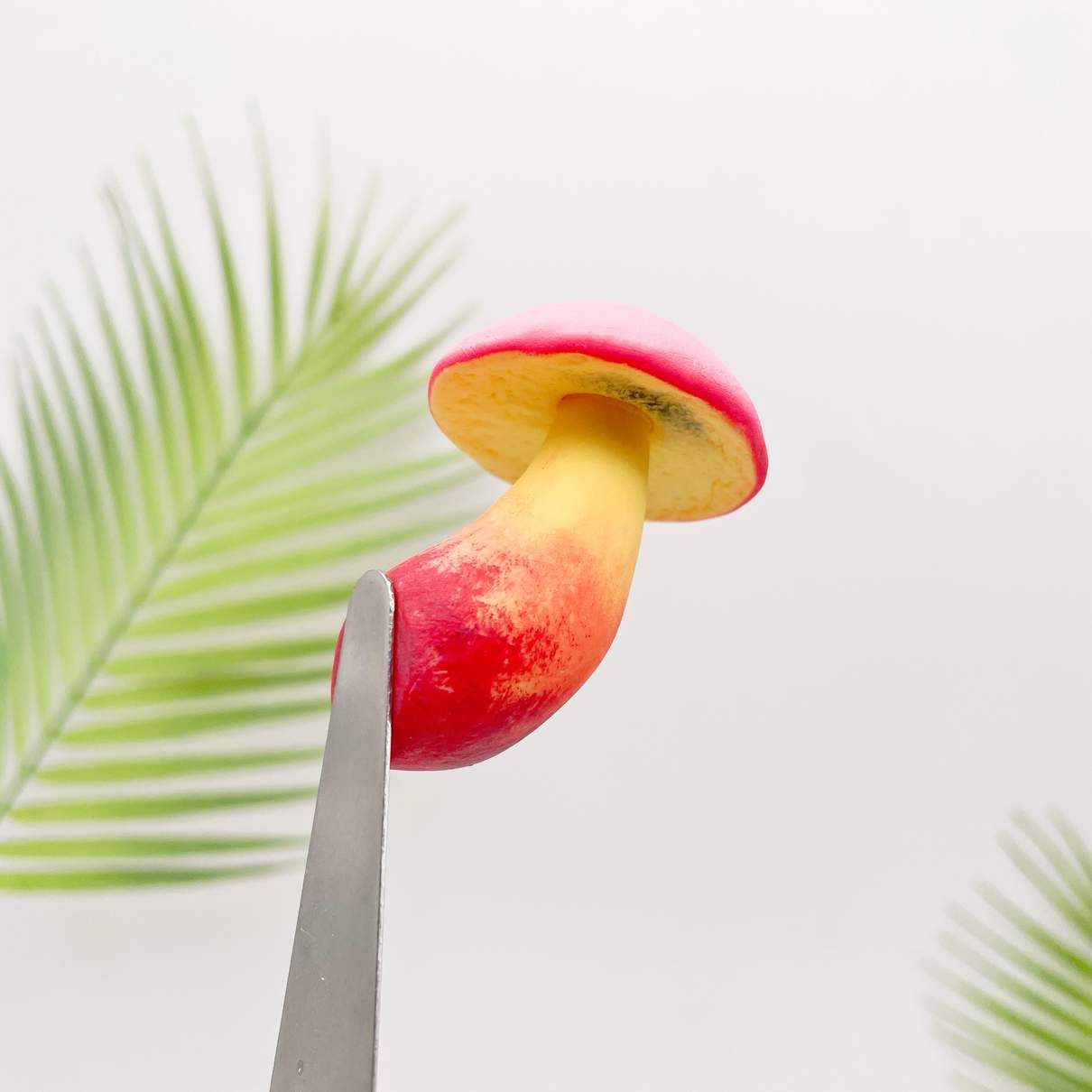 Toxic Red-Staining Bolete Mushroom