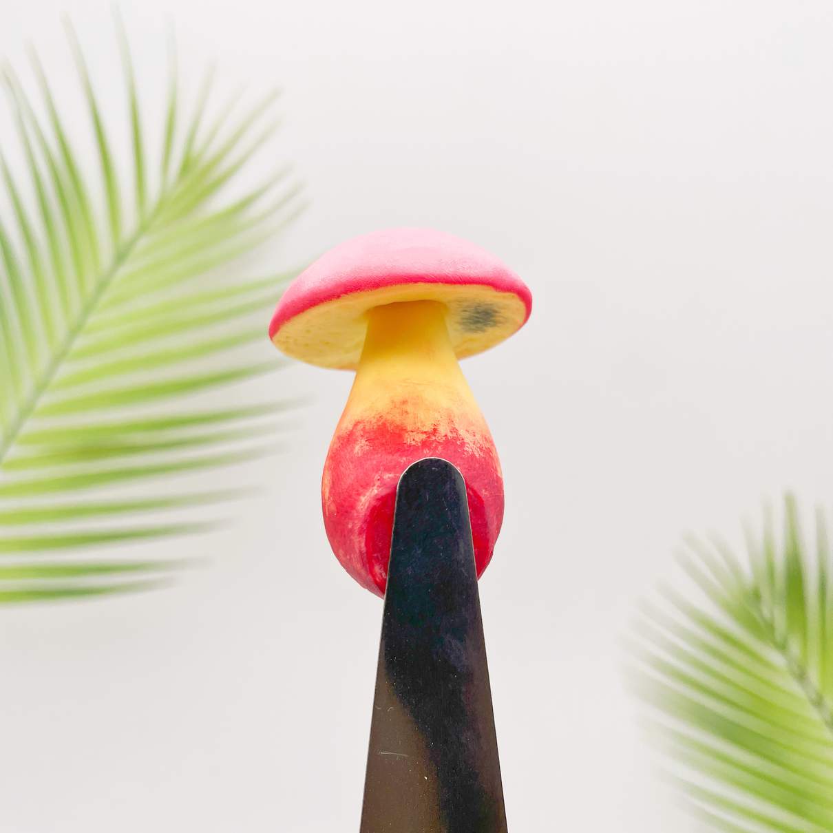 Toxic Red-Staining Bolete Mushroom