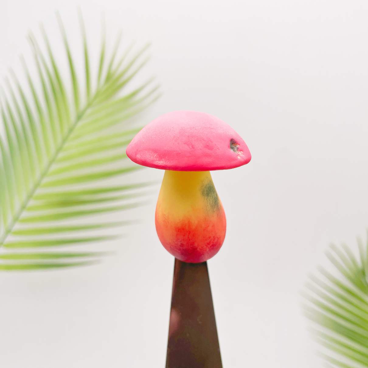 Toxic Red-Staining Bolete Mushroom