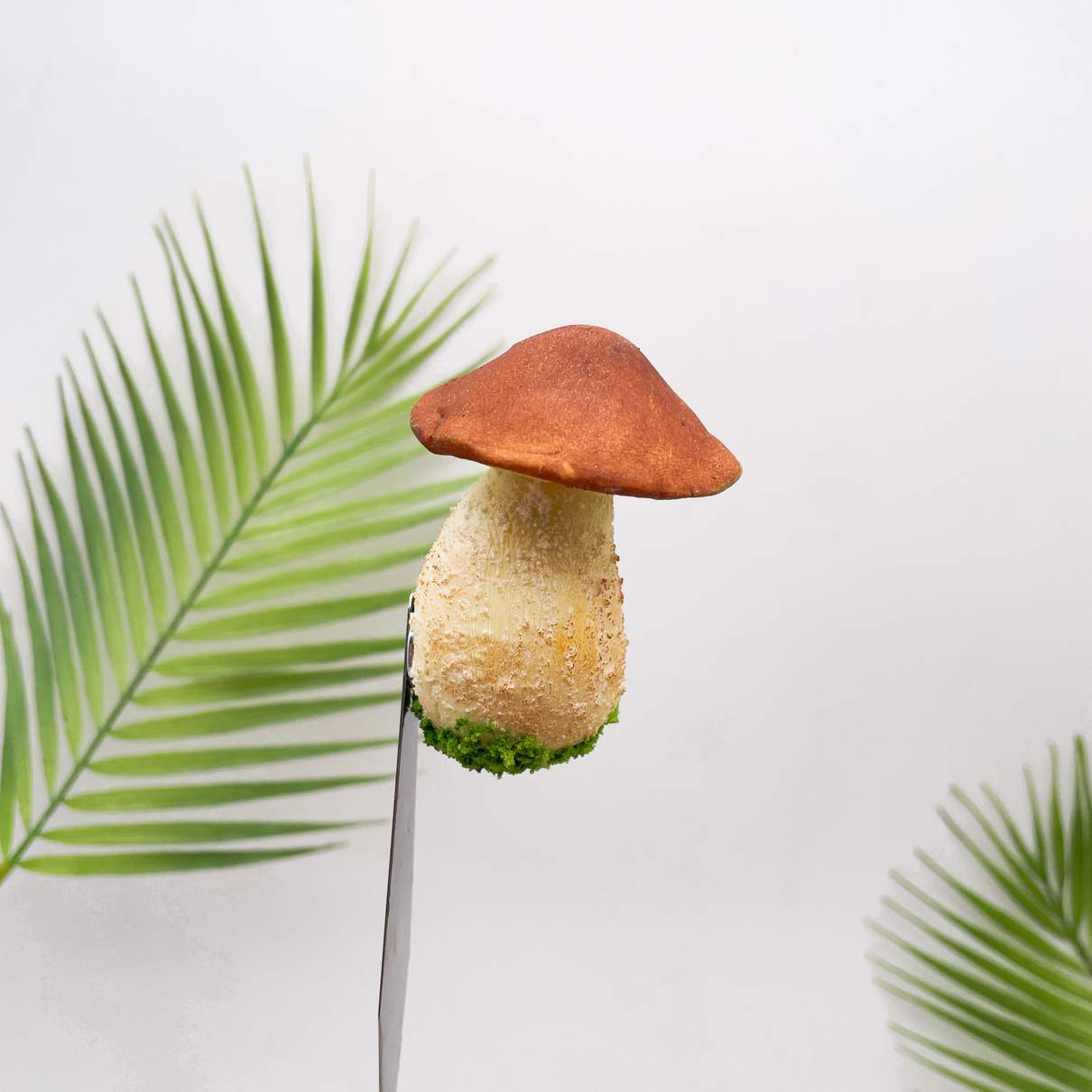 Realistic Brown Bolete Mushroom