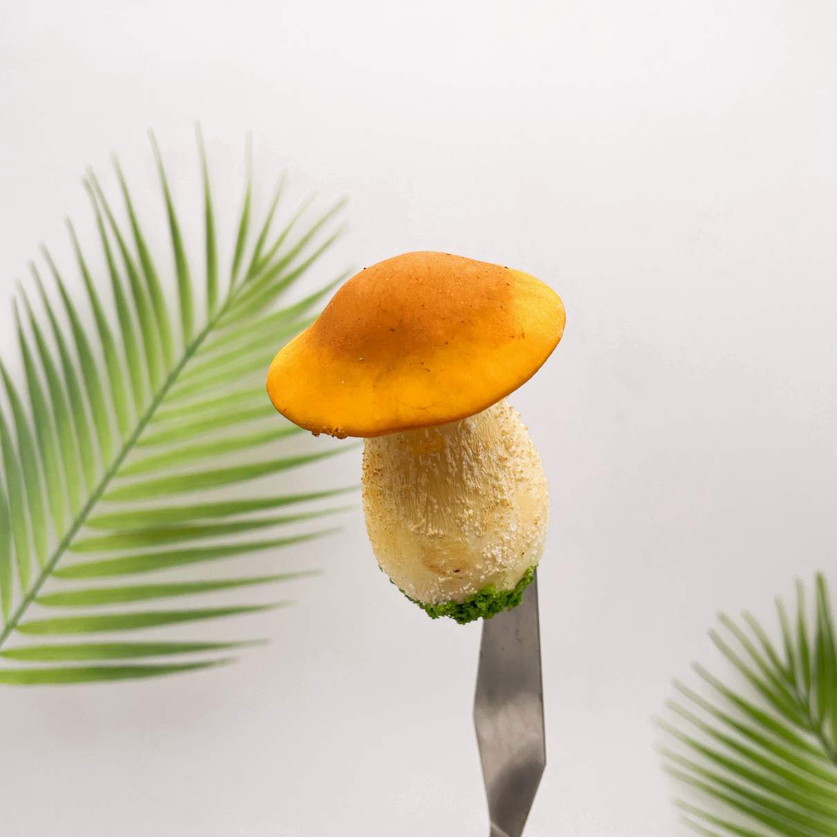 Realistic Brown Bolete Mushroom