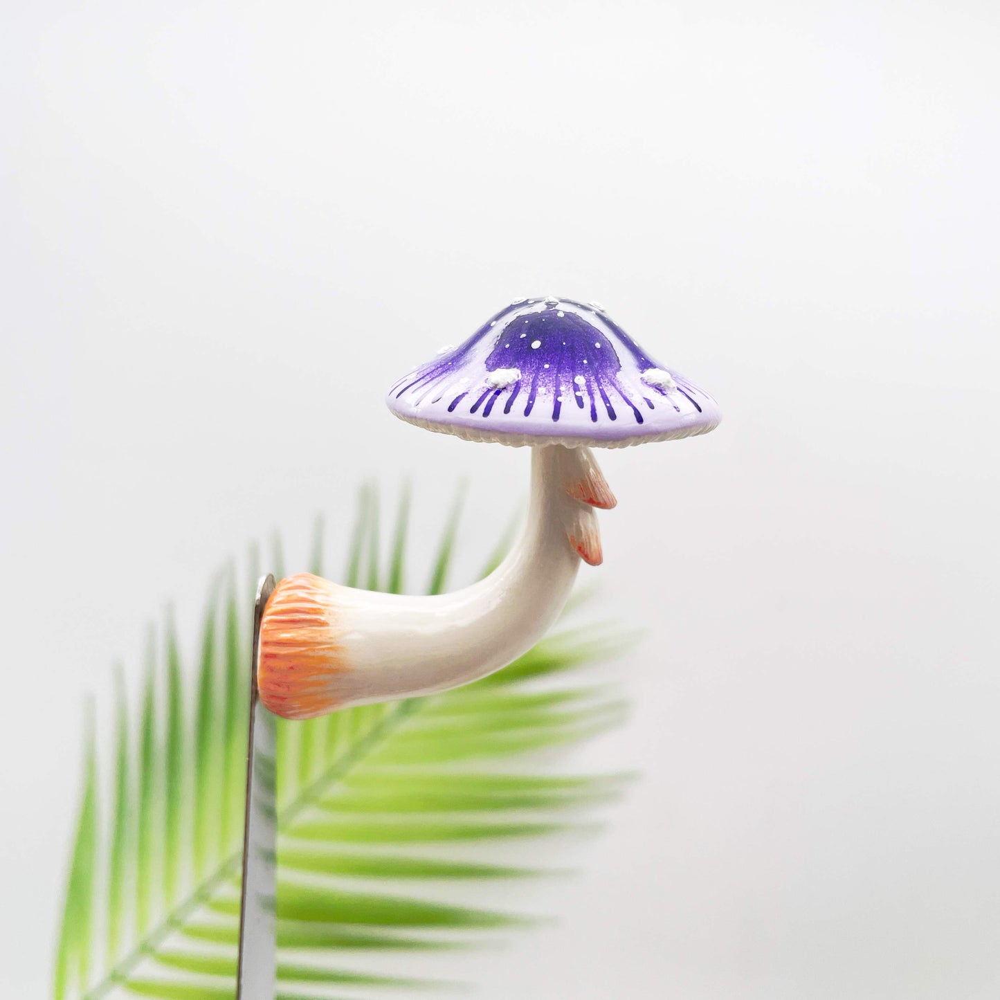 Starburst Violet Mushroom
