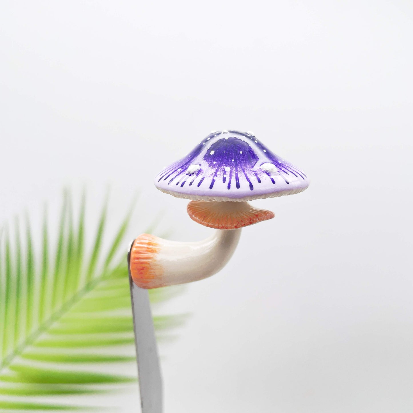 Starburst Violet Mushroom