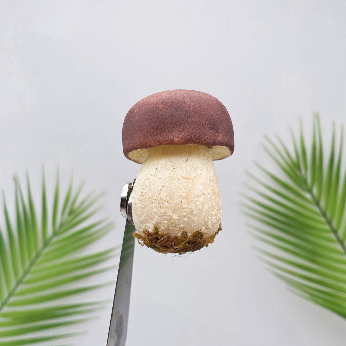 Realistic Brown Bolete Mushroom