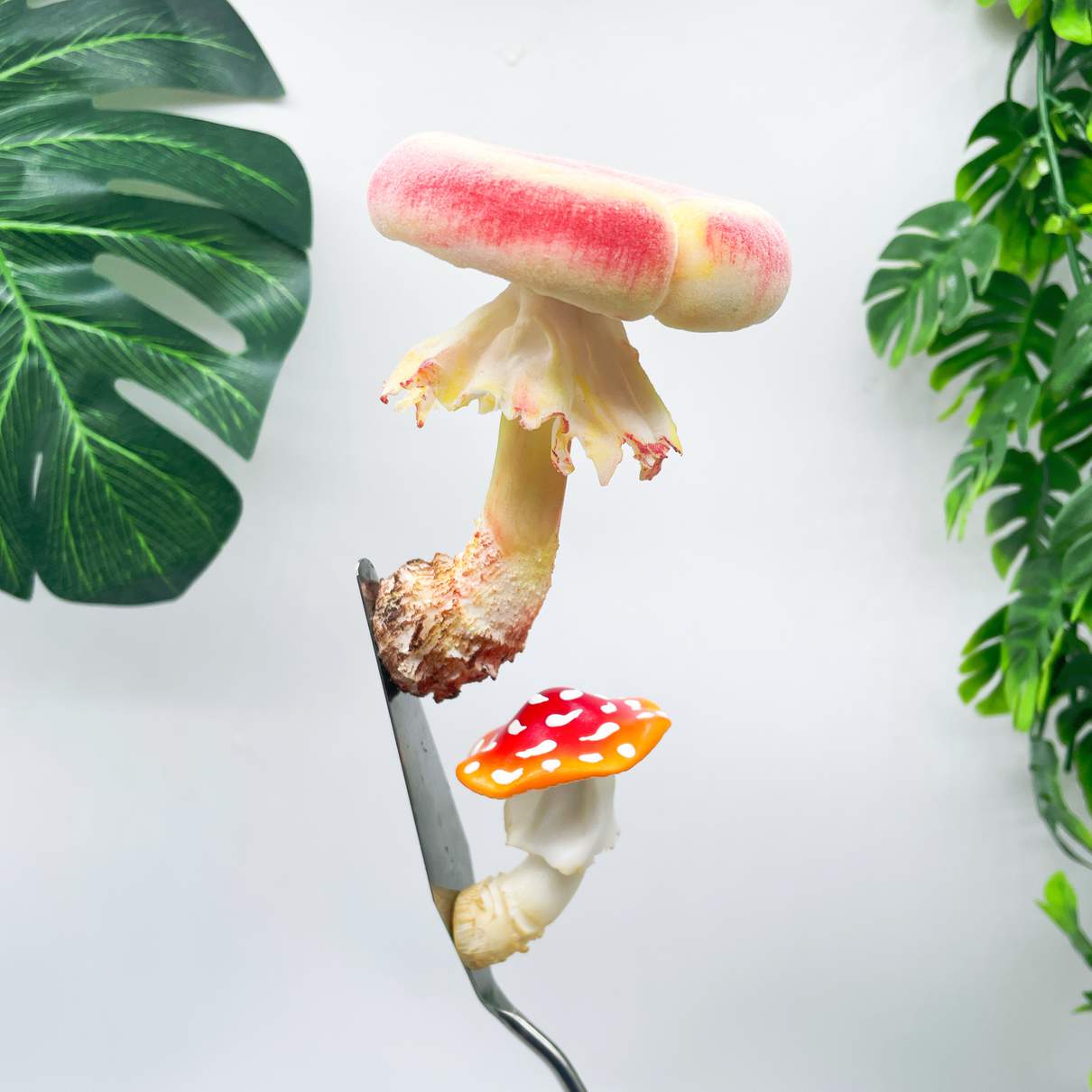 Velvet Gradient Donut mushroom