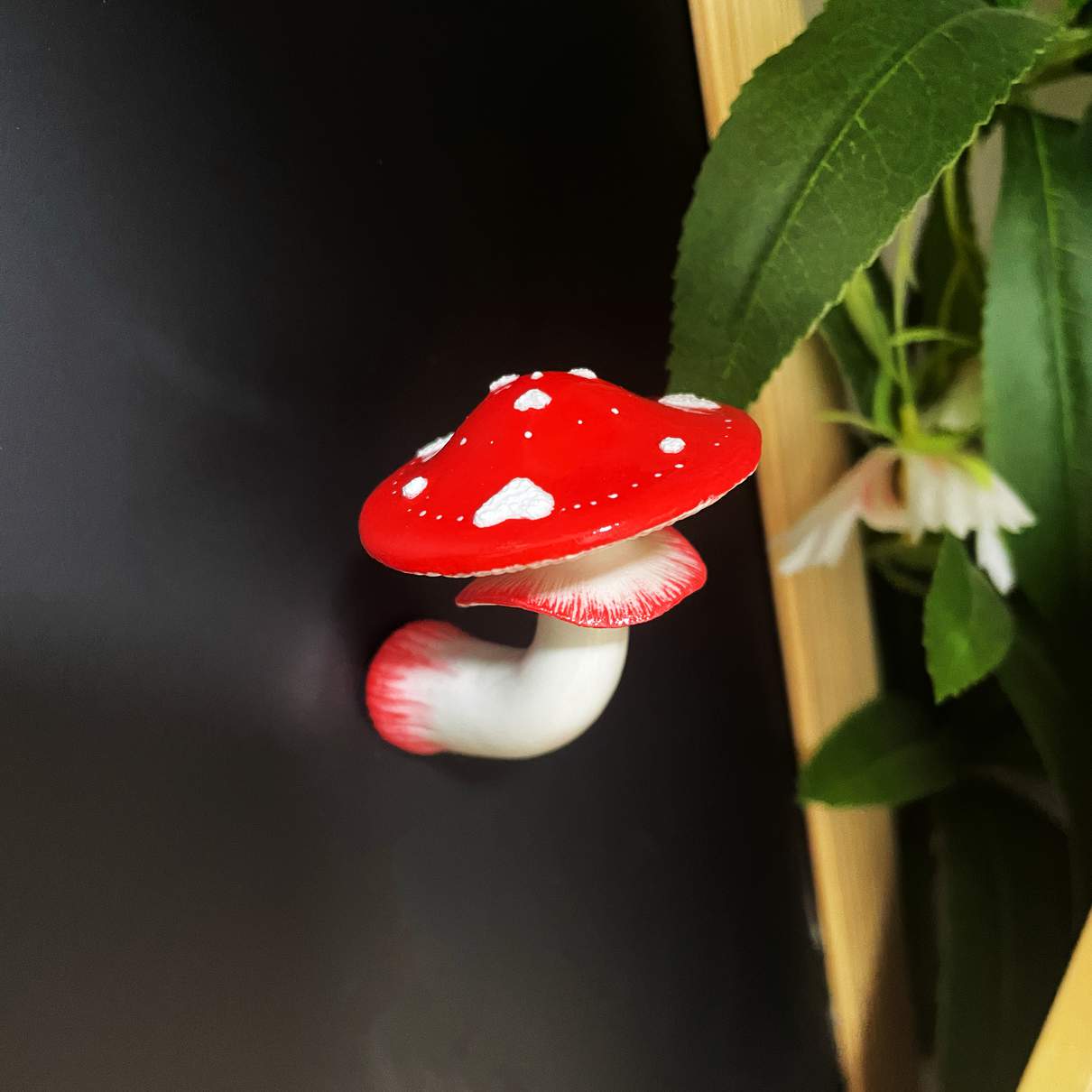 Crimson Love Mushroom