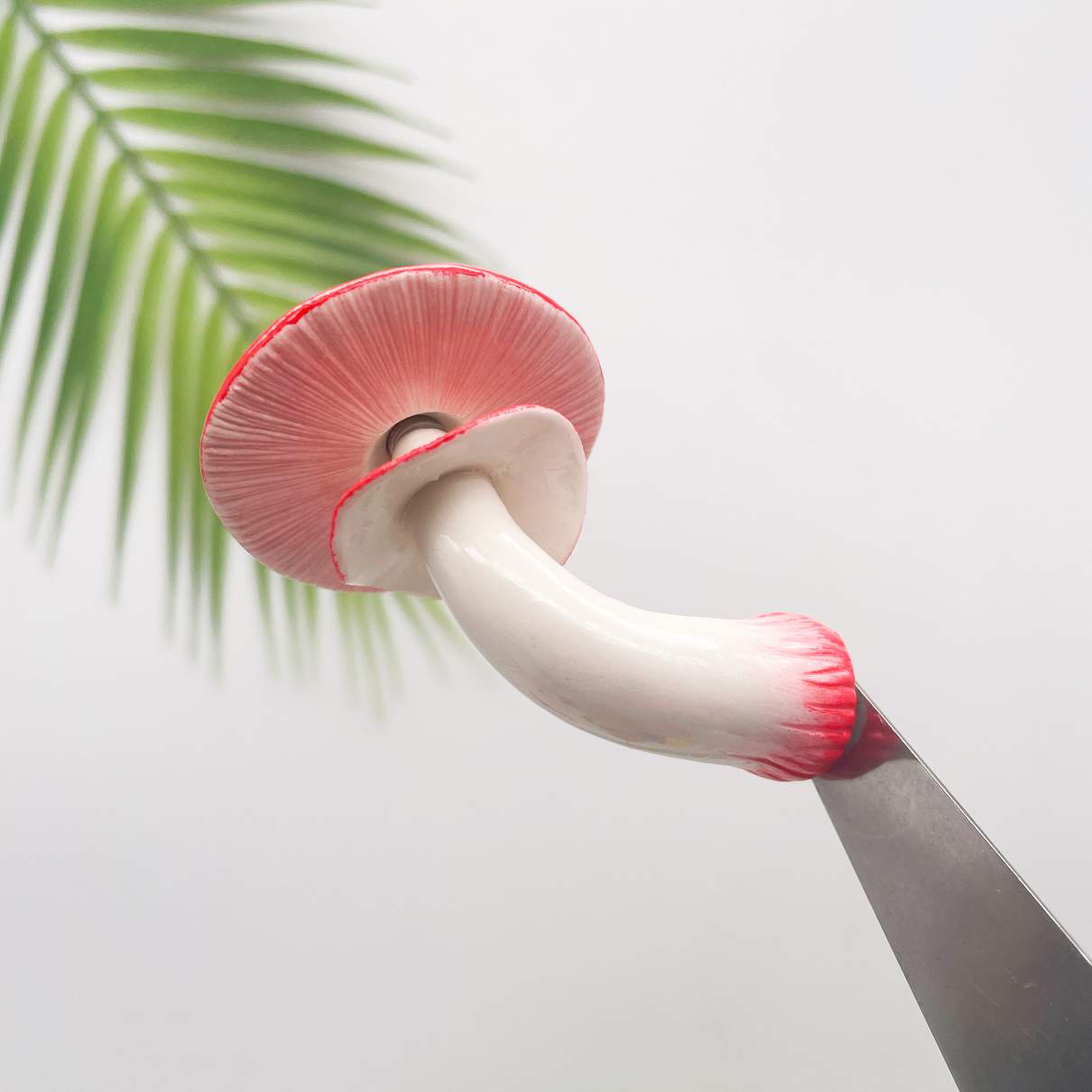 Crimson Love Mushroom