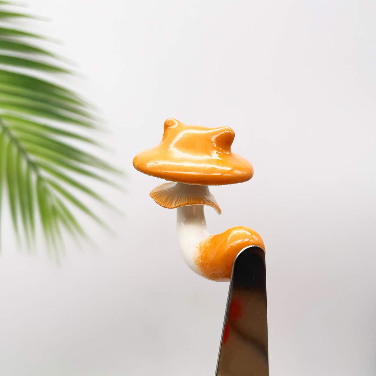 Kittycap Mushroom