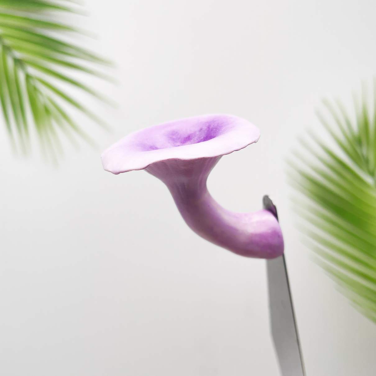 Realistic Chanterelles Purple Mushroom
