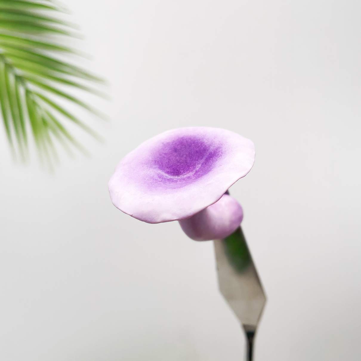Realistic Chanterelles Purple Mushroom