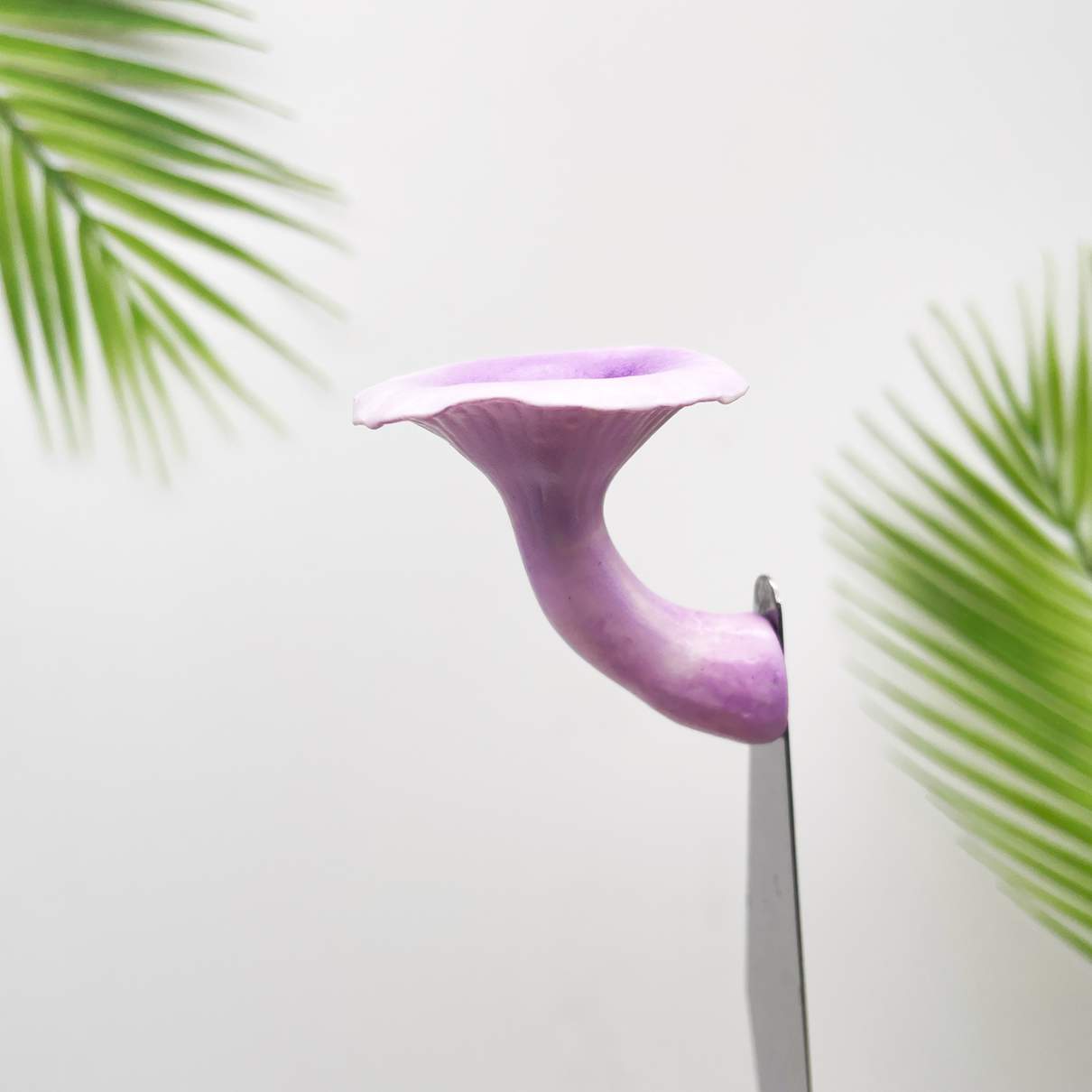 Realistic Chanterelles Purple Mushroom
