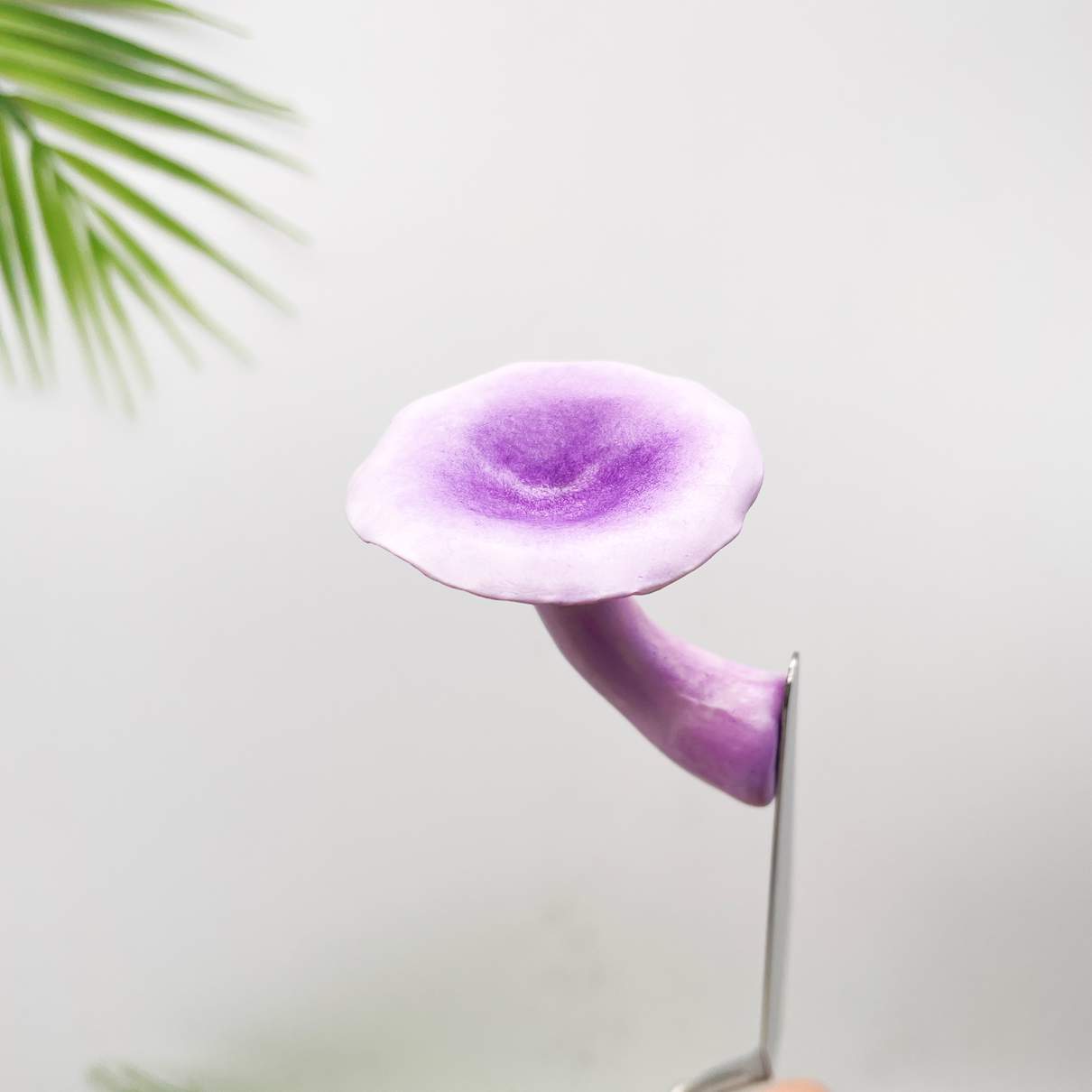 Realistic Chanterelles Purple Mushroom