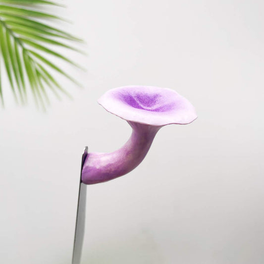 Realistic Chanterelles Purple Mushroom
