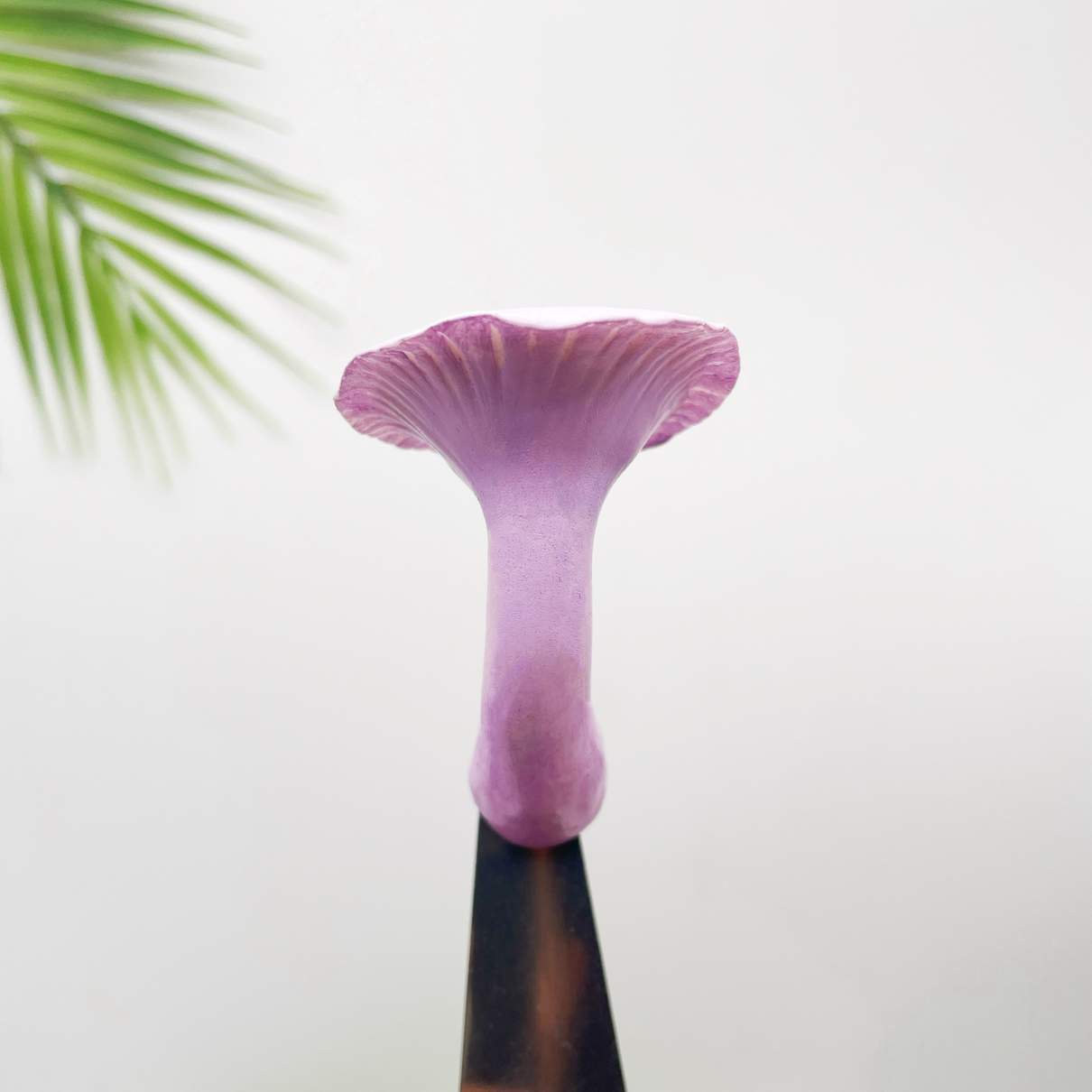 Realistic Chanterelles Purple Mushroom