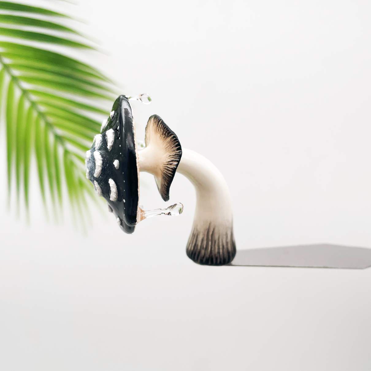 Moon Flower Mushroom