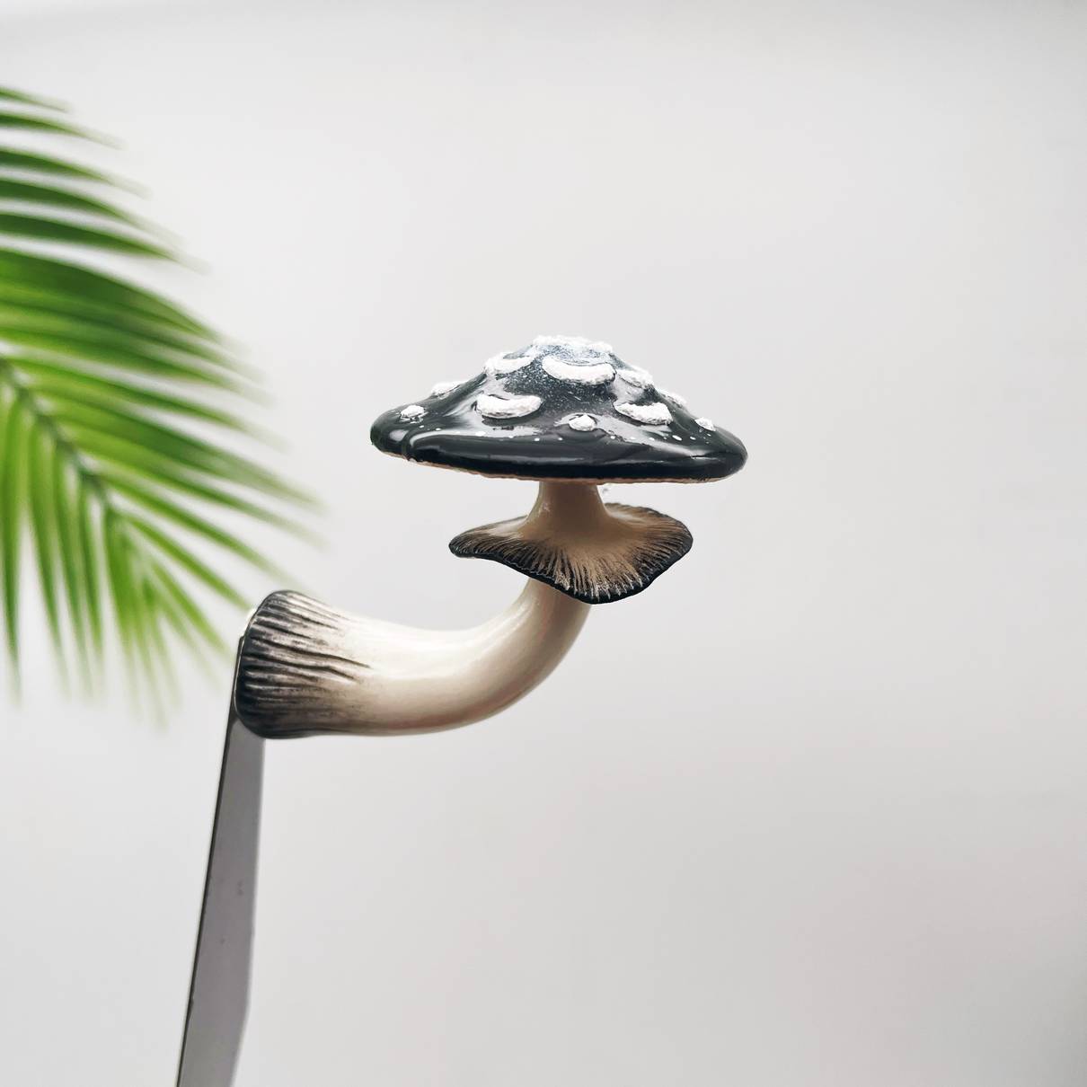 Moon Flower Mushroom