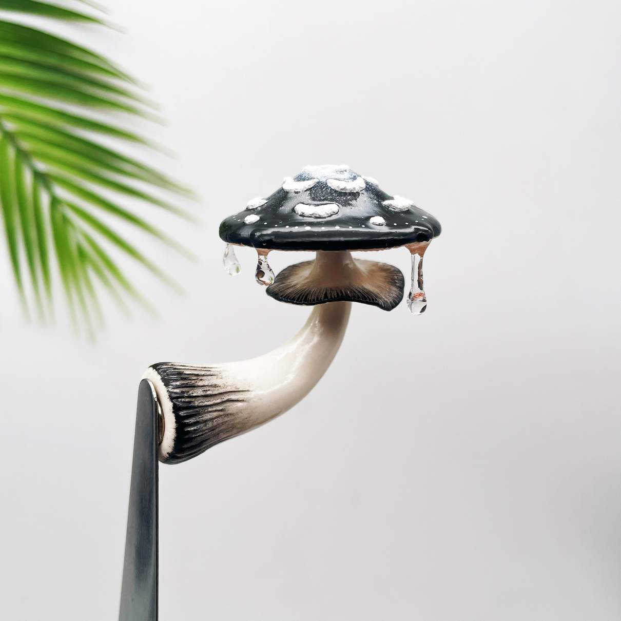Moon Flower Mushroom