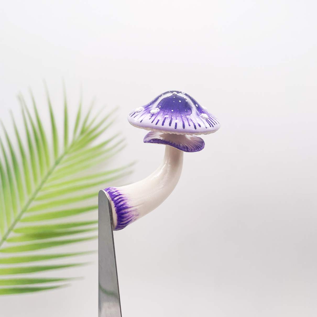 Starburst Violet Mushroom