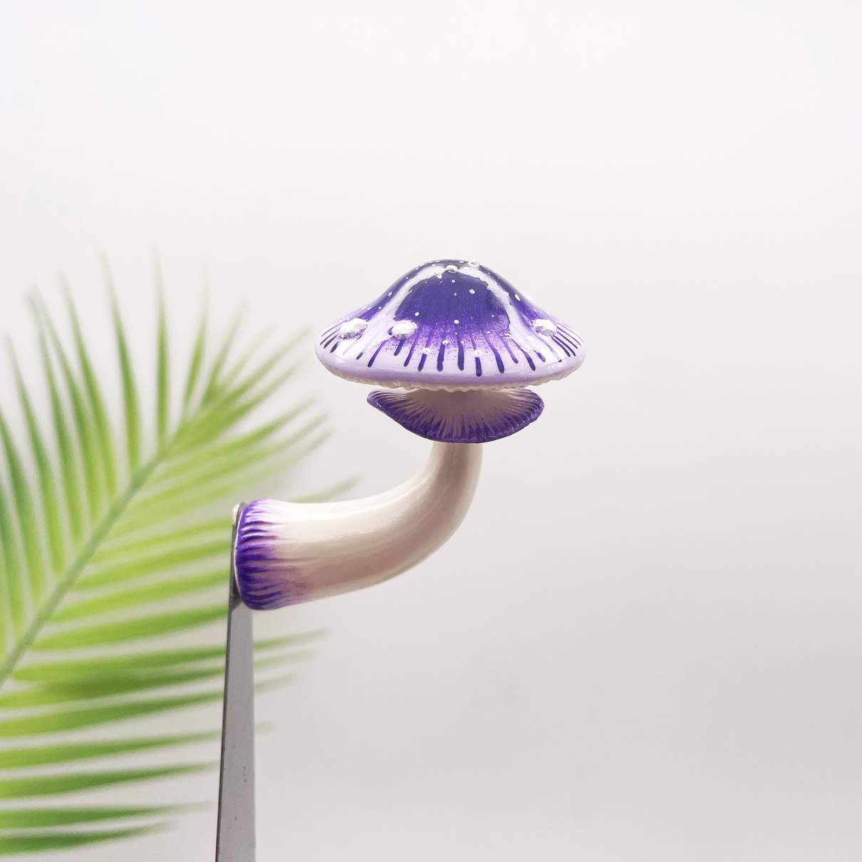 Starburst Violet Mushroom