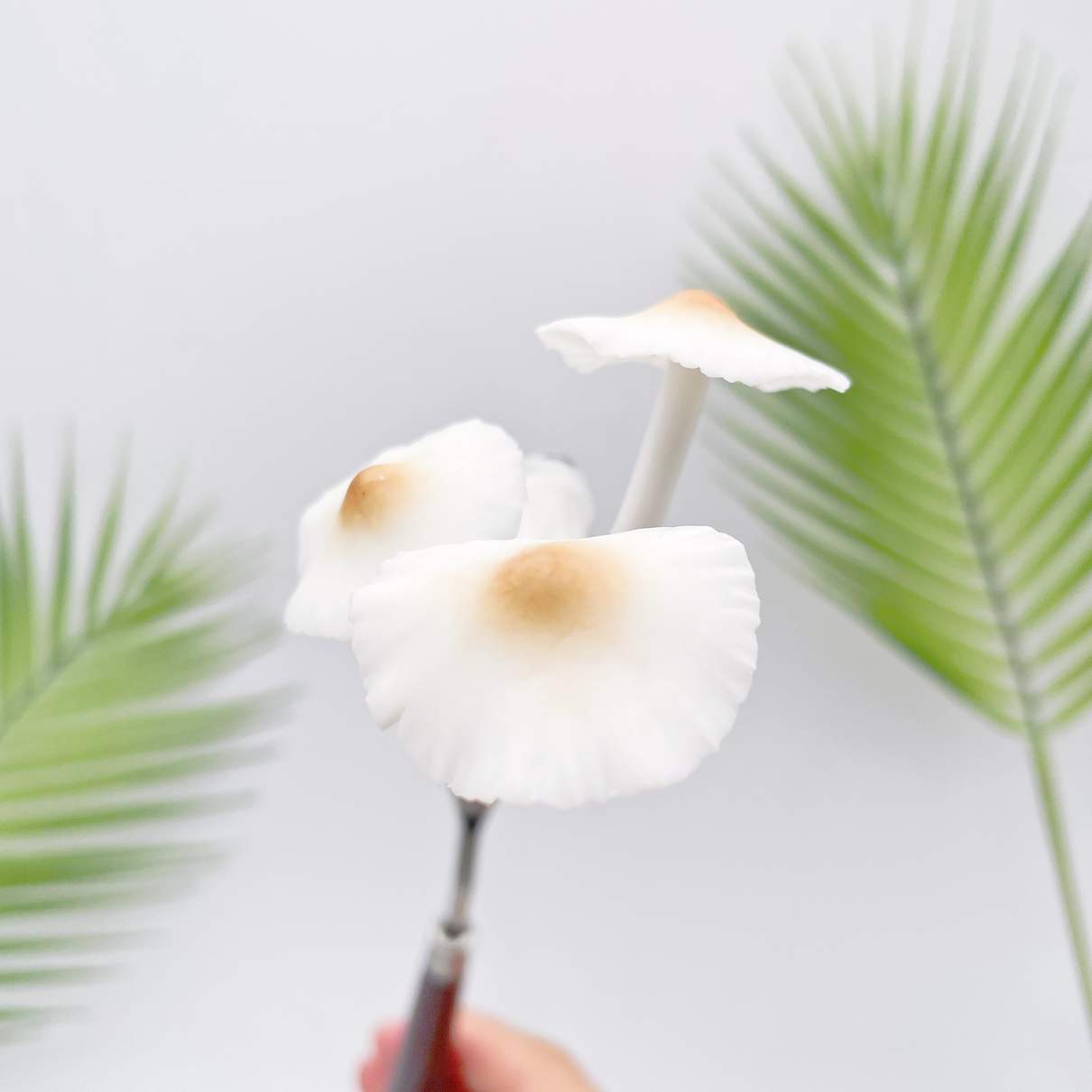 Realistic Triple White Flower Mushroom