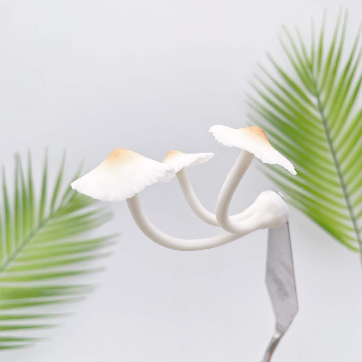 Realistic Triple White Flower Mushroom