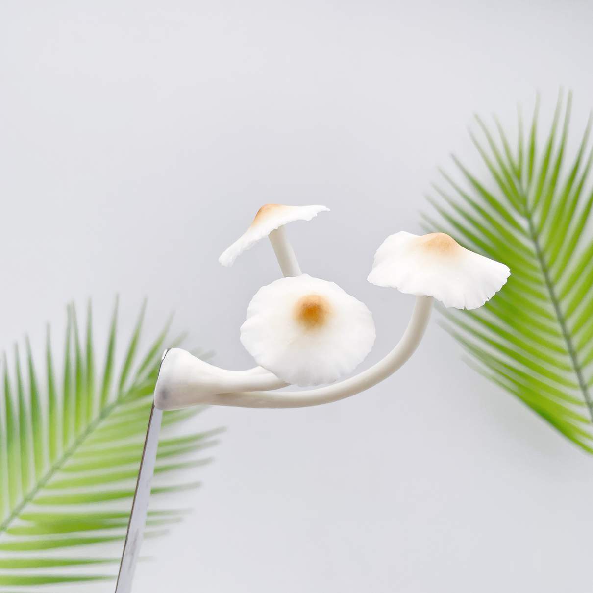 Realistic Triple White Flower Mushroom