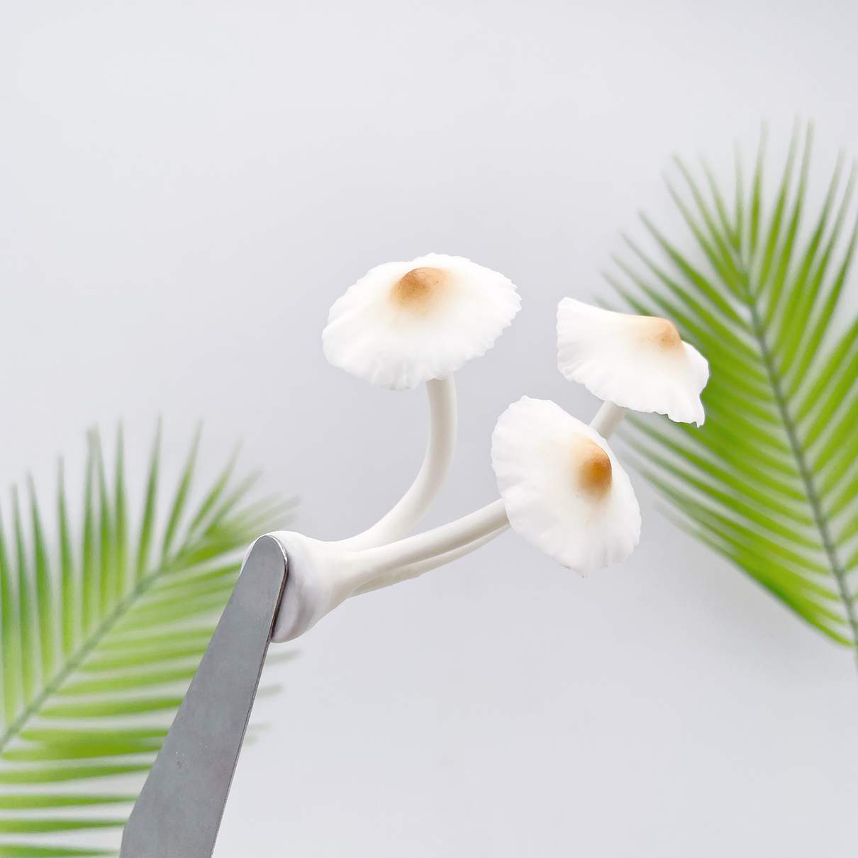 Realistic Triple White Flower Mushroom