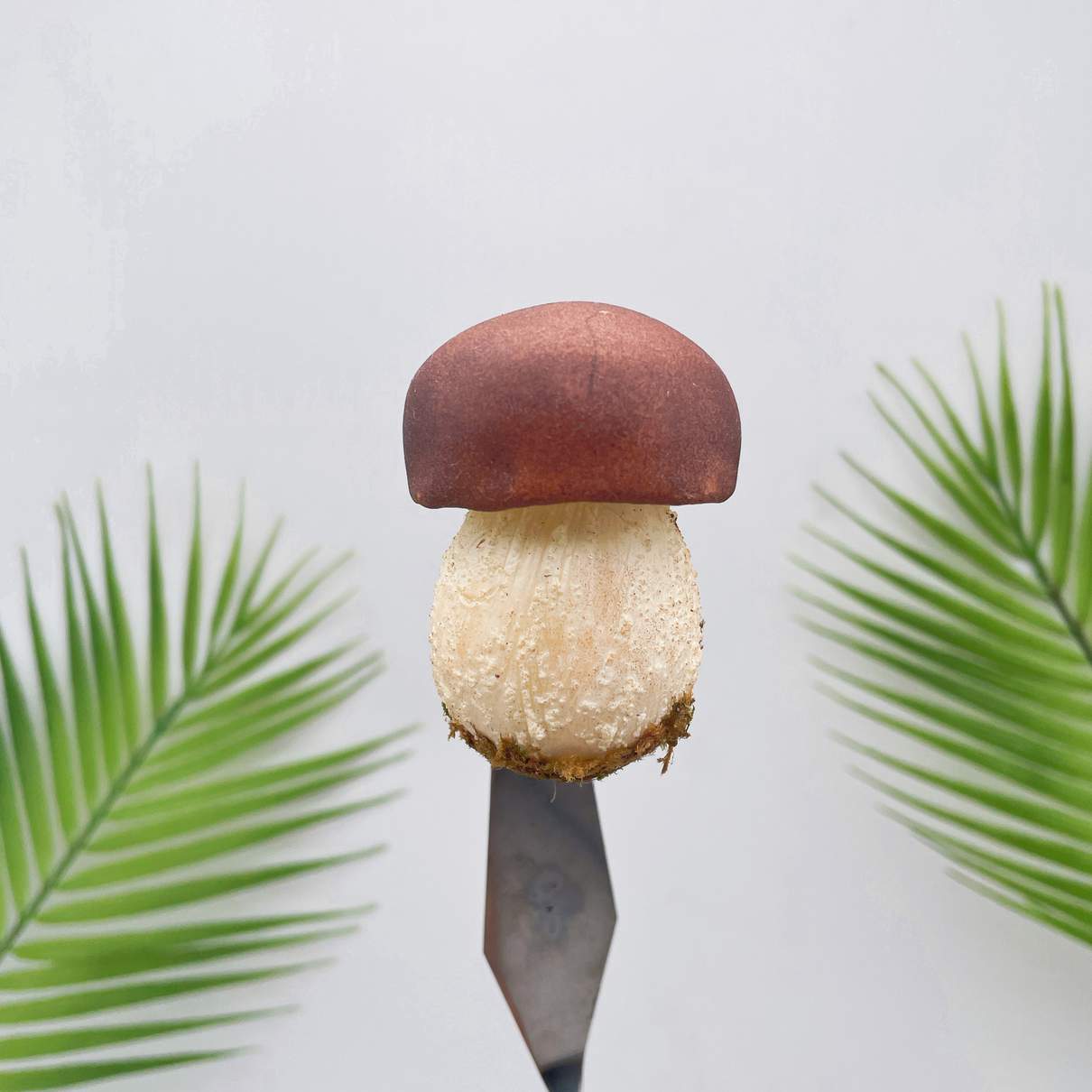 Realistic Brown Bolete Mushroom