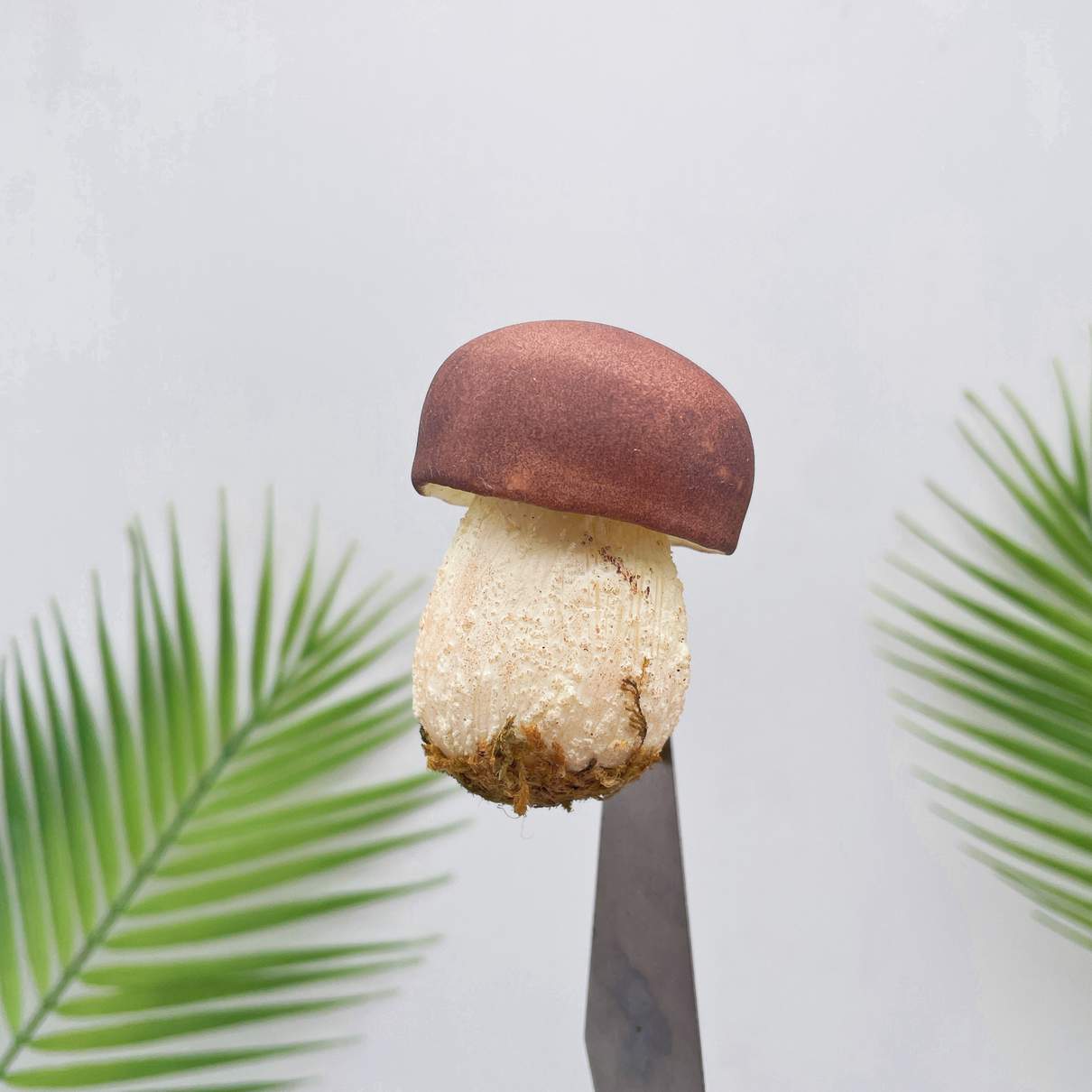 Realistic Brown Bolete Mushroom