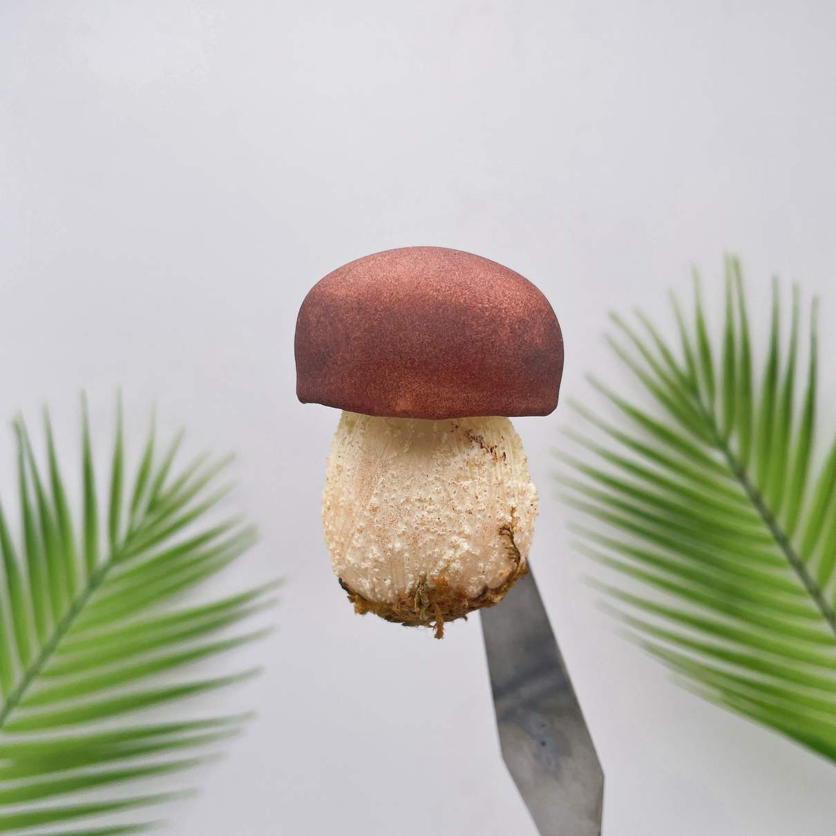 Realistic Brown Bolete Mushroom