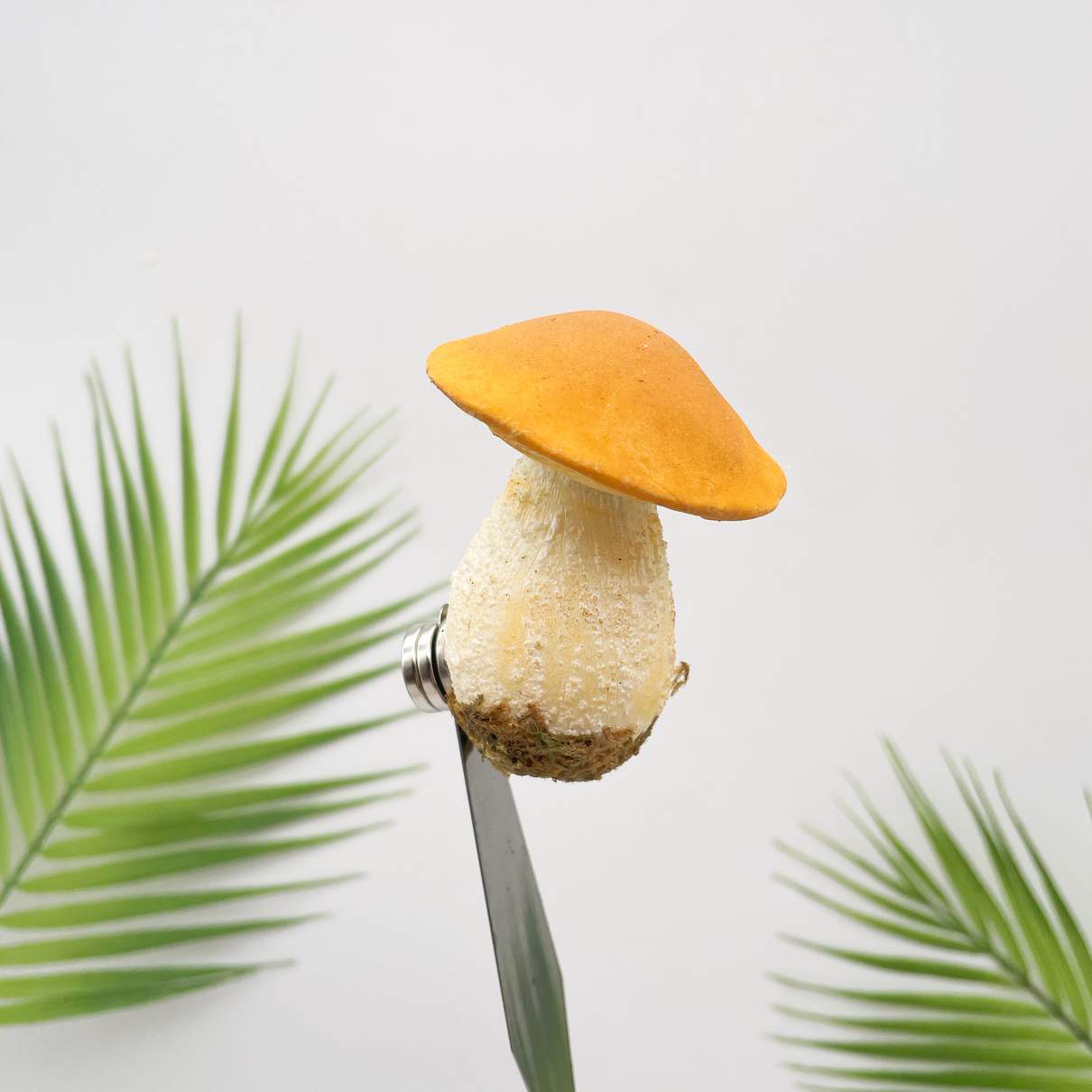 Realistic Yellow Bolete Mushroom