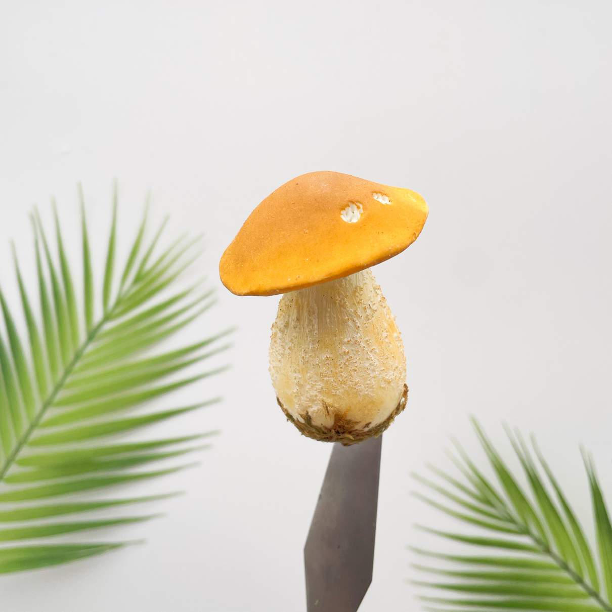 Realistic Yellow Bolete Mushroom