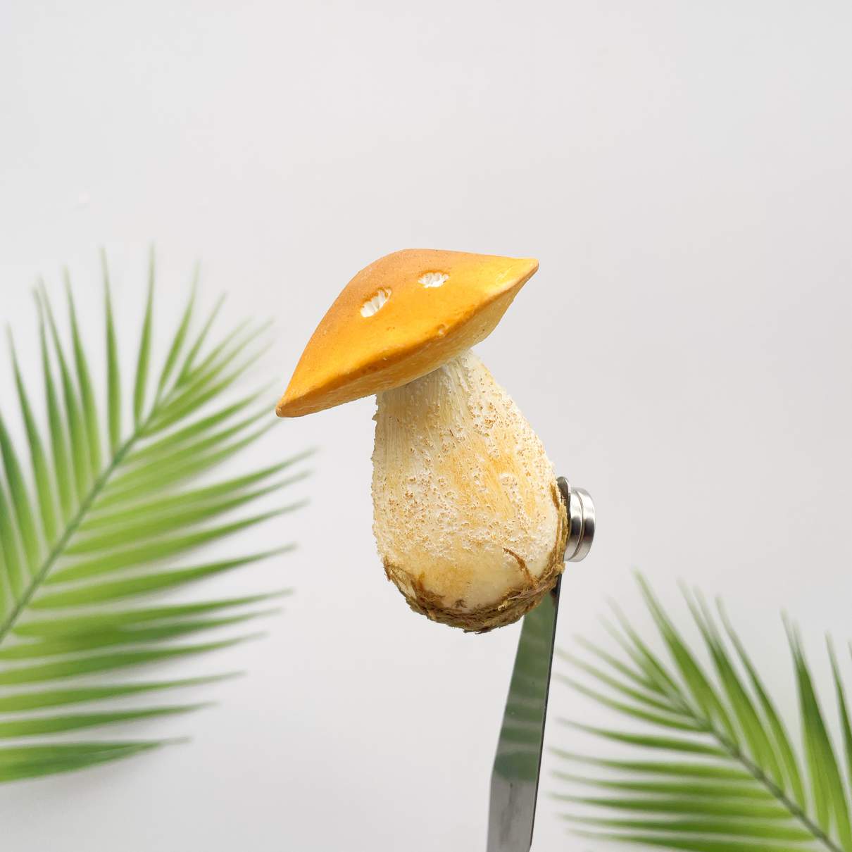 Realistic Yellow Bolete Mushroom