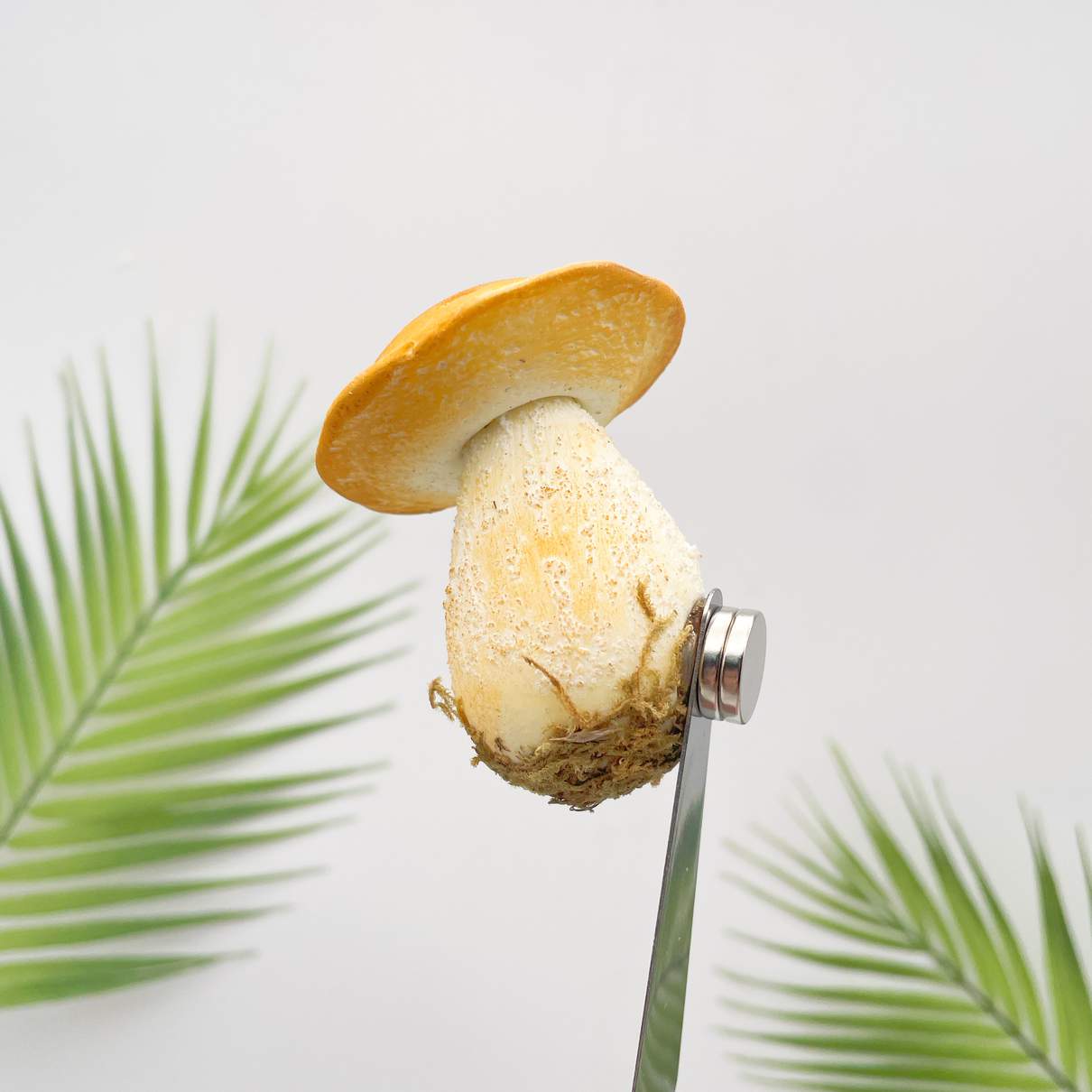 Realistic Yellow Bolete Mushroom