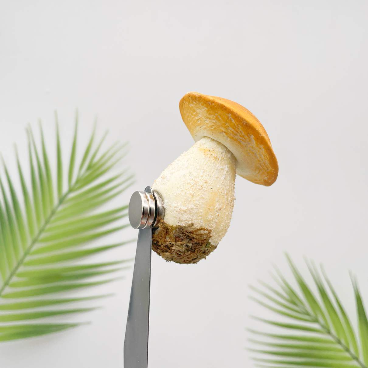 Realistic Yellow Bolete Mushroom