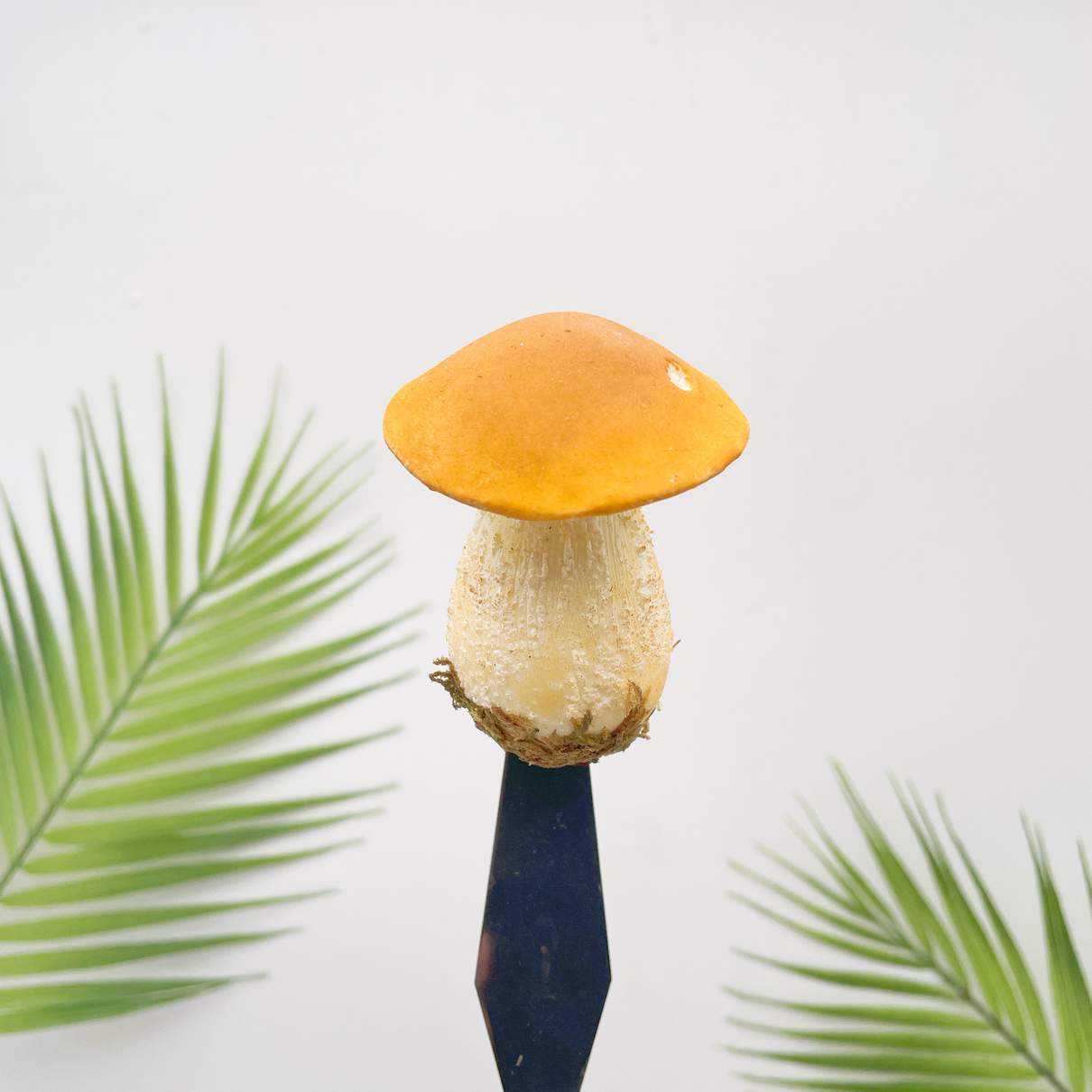 Realistic Yellow Bolete Mushroom