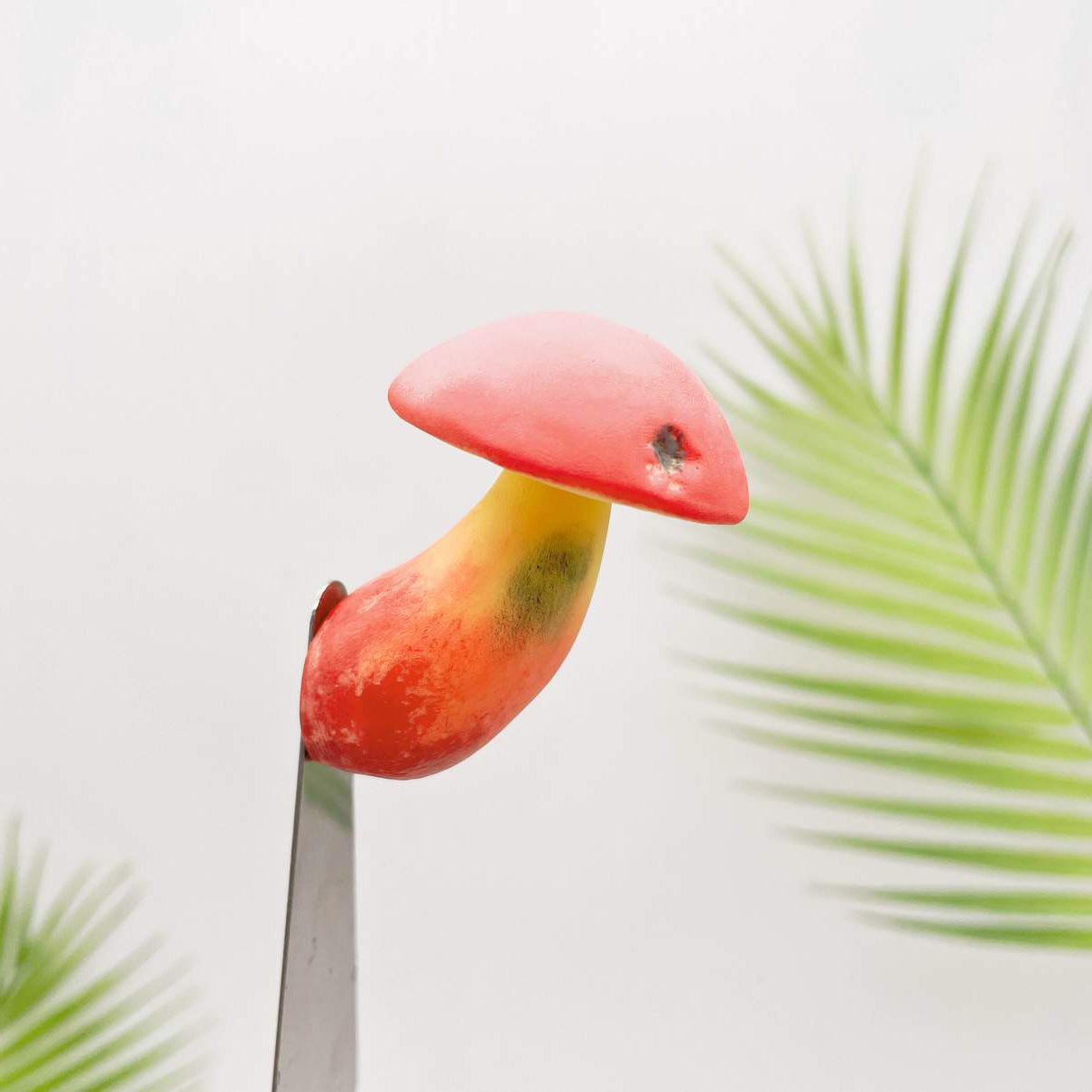 Toxic Red-Staining Bolete Mushroom