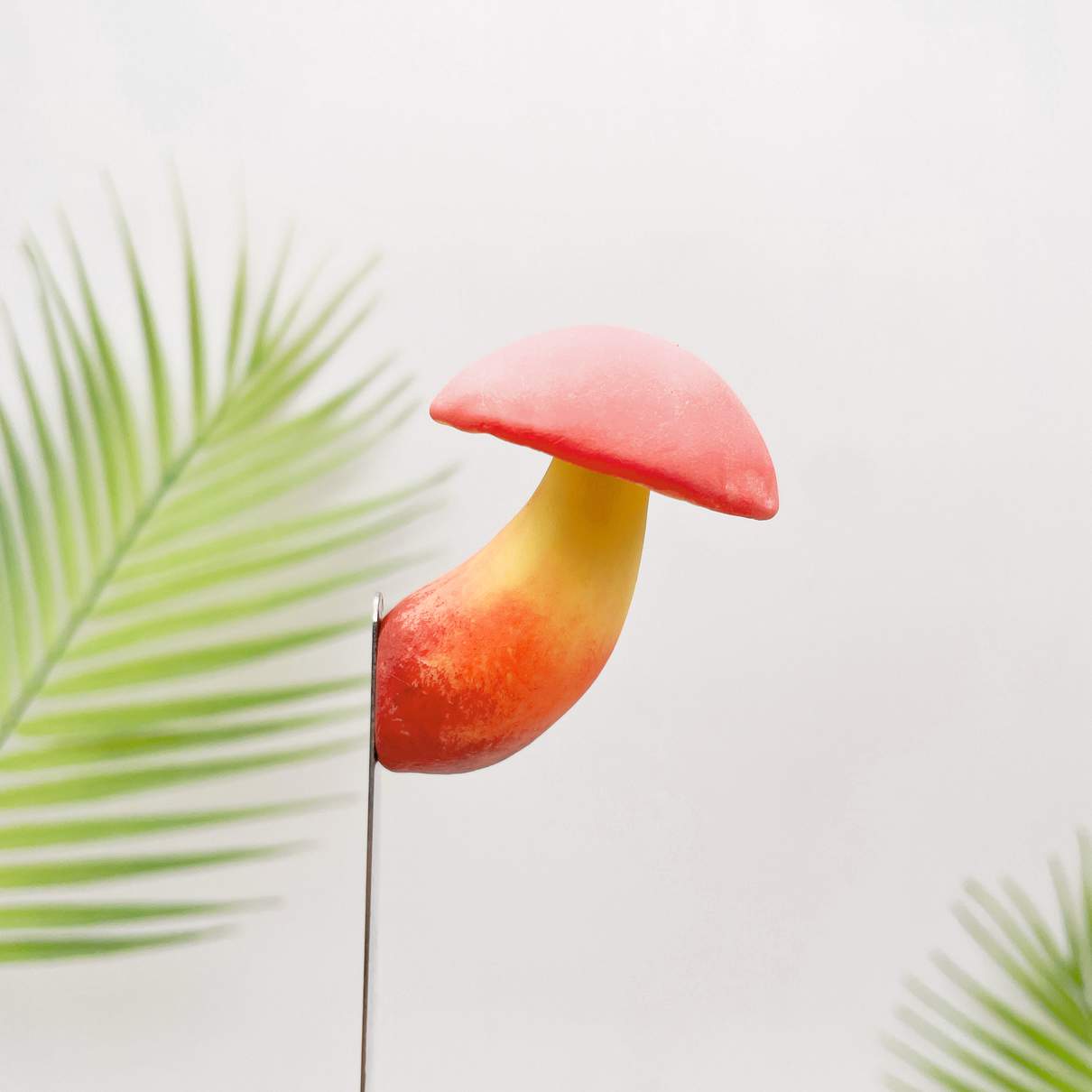 Toxic Red-Staining Bolete Mushroom