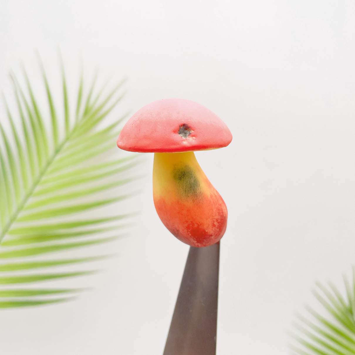 Toxic Red-Staining Bolete Mushroom