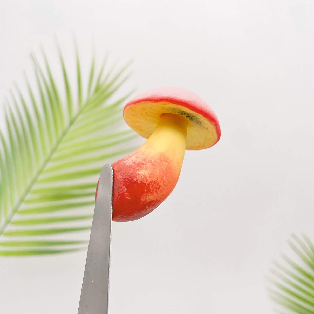 Toxic Red-Staining Bolete Mushroom