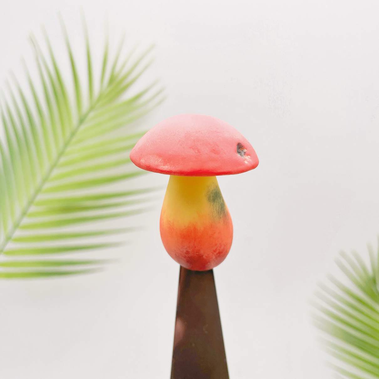 Toxic Red-Staining Bolete Mushroom
