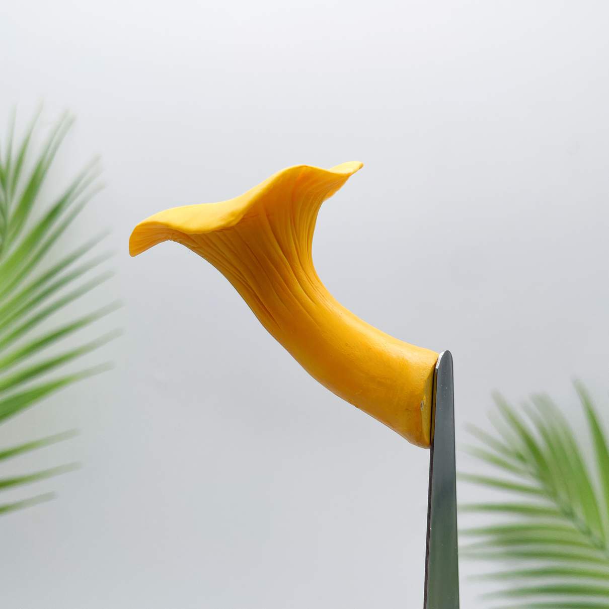 Realistic Chanterelles  Mushroom